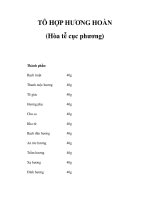TÔ HỢP HƯƠNG HOÀN (Hòa tễ cục phương) potx