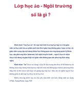 Lớp học ảo - Ngôi trường số là gì ? pps