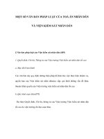 MỘT SỐ VĂN BẢN PHÁP LUẬT CỦA TOÀ ÁN NHÂN DÂN VÀ VIỆN KIỂM SÁT NHÂN DÂN pptx