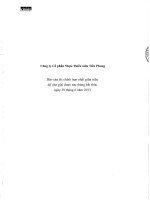 công ty cổ phần nhựa thiếu niên tiền phong báo cáo tài chính hợp nhất giữa niên độ cho giai đoạn 6 tháng kết thúc ngày 30 tháng 6 năm 2013