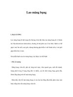 Lao màng bụng pot