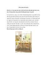 Bố cục đẹp cho bàn ăn doc