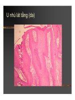 Giải phẫu bệnh - U biểu mô, U liên kết part 2 pps