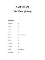 SÂM TÔ ẨM (Hòa tễ cục phương) pot