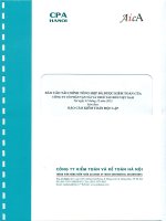 Báo cáo tài chính tổng hợp đã được kiểm toán của văn phòng CÔNG TY cổ PHẦN vận tải và THUÊ tàu BIỂN VIỆT NAM tại ngày 31 tháng 12 năm 2012 kèm theo báo cáo kiểm toán độc lập