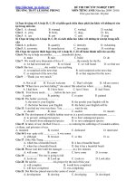 ĐỀ THI THỬTỐT NGHIỆP THPT MÔN TIẾNG ANH (Năm học 2009- 2010) ppt