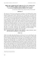 Báo cáo nghiên cứu khoa học: 