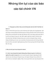 Những tồn tại của các báo cáo tài chính VN pdf