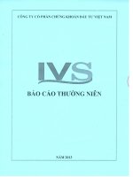 báo cáo thường niên 2013 công ty cổ phần chứng khoán đầu tư việt nam ivs