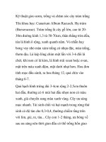 Kỹ thuật gieo ươm, trồng và chăm sóc cây trám trắng pdf