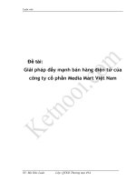 Giải pháp đẩy mạnh bán hàng điện tử của công ty cổ phần media mart việt nam