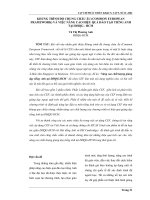 Báo cáo nghiên cứu khoa học: 