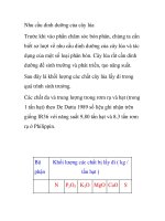 Nhu cầu dinh dưỡng của cây lúa potx