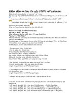 kiem tien voi satavina ppt