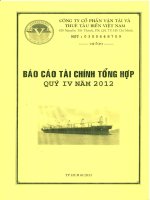 CÔNG TY cổ PHẦN vận tải và THUÊ tàu BIỂN VIỆT NAM báo cáo tài chính tổng hợp qúy IV năm 2012