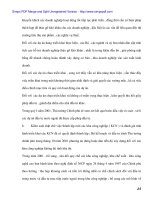 Thu hút FDI vào các Khu công nghiệp trên địa bàn Tp.HCM - 4 potx