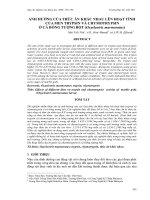 Báo cáo nghiên cứu khoa học: 