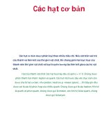 Các hạt cơ bản potx