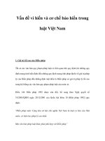 Vấn đề vi hiến và cơ chế bảo hiến trong luật Việt Nam pptx