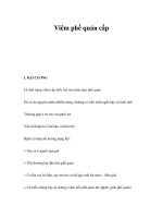 Viêm phế quản cấp pps