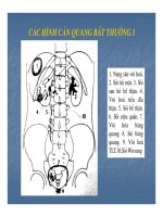 Bài giảng kỹ thuật thăm khám và hình ảnh của hệ tiết niệu part 2 doc