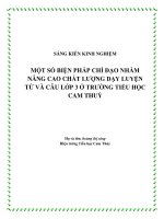 skkn một số biện pháp chỉ đạo nhằm nâng cao chất lượng dạy luyện từ và câu lớp 3 ở trường tiểu học cam thuỷ