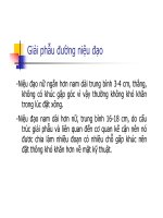 Bài giảng THÔNG TiỂU DẪN LƯU NƯỚC TiỂU RỬA BÀNG QUANG part 2 doc