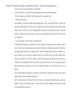 Thúc đẩy quan hệ thương mại Việt Nam - Hoa Kỳ - p4 pps