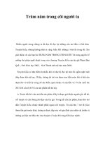 Trăm năm trong cõi người ta pot