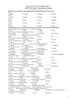 ĐỀ THI THỬ TỐT NGHIỆP THPT MÔN TIẾNG ANH 12 - D5 potx