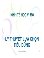 Bài giảng Kinh tế học vi mô: Chương 4 Lý thuyết lựa chọn tiêu dùng  Võ Hữu Phước