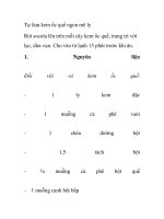 Tự làm kem ốc quế ngon mê ly pdf