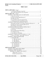 ĐỒ ÁN TỐT NGHIỆP KỸ SƯ XÂY DỰNG CAO ỐC VĂN PHÒNG 135 PASTEUR