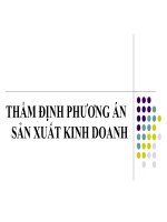 Thẩm định phương án sản xuất kinh doanh pps