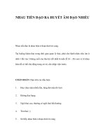NHAU TIỀN ĐẠO RA HUYẾT ÂM ĐẠO NHIỀU pdf