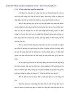 Hoạt động nhập khẩu thép tại Cty CP Tổng Bách hóa - Bộ Thương mại - 2 pdf