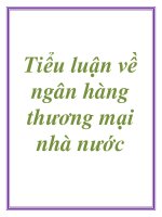 Tiểu luận về ngân hàng thương mại nhà nước pps