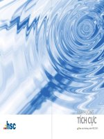 Báo cáo thường niên HSC 2013 ẢNH HƯỞNG TÍCH cực