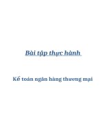 Bài tập thực hành kế toán ngân hàng thương mại pdf