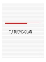 Bài giảng Kinh tế lượng  Chương 8: Tự tương quan