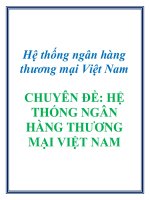 Hệ thống ngân hàng thương mại Việt Nam CHUYÊN ĐỀ: HỆ THỐNG NGÂN HÀNG THƯƠNG MẠI VIỆT NAM doc