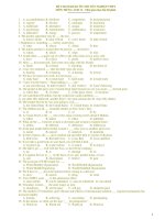 ĐỀ THAM KHẢO ÔN THI TỐT NGHIỆP THPT MÔN TIẾNG ANH 12 - ĐỀ 4 pps