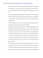 Bài thu hoạch tốt nghiệp Kinh doanh quốc tế - 3 pdf