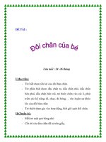 ĐỀ TÀI :Lứa tuổi : 24 -36 tháng ppsx