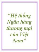“Hệ thống Ngân hàng thương mại của Việt Nam” doc