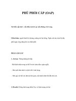 PHÙ PHỔI CẤP (OAP) potx