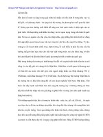 Trung tâm Thương mại Hồ Gươm và việc thúc đấy xuất khẩu hàng thủ công sang Nhật Bản - 1 pps