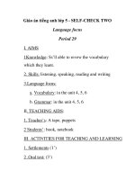 Giáo án tiếng anh lớp 5 - SELF-CHECK TWO Period 29 potx