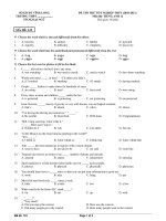 ĐỀ THI THỬ TỐT NGHIỆP THPT (2010-2011) Môn thi: TIẾNG ANH 12 - MÃ ĐỀ: 123 doc