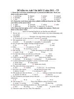 Đề kiểm tra Anh Văn khối 12 năm 2011 – T3 docx